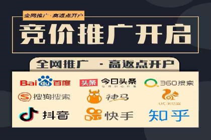 百度竞价排名服务：成功案例解析
