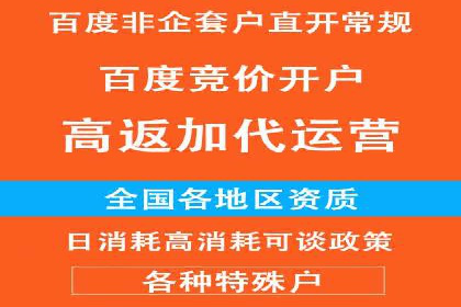 百度推广代运营案例：案例分享：打造行业领军品牌